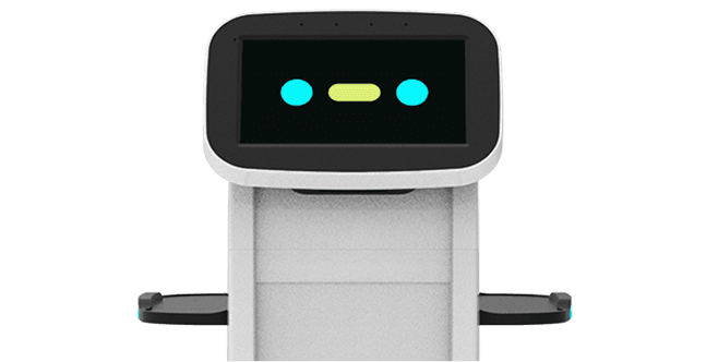 head of matradee robot